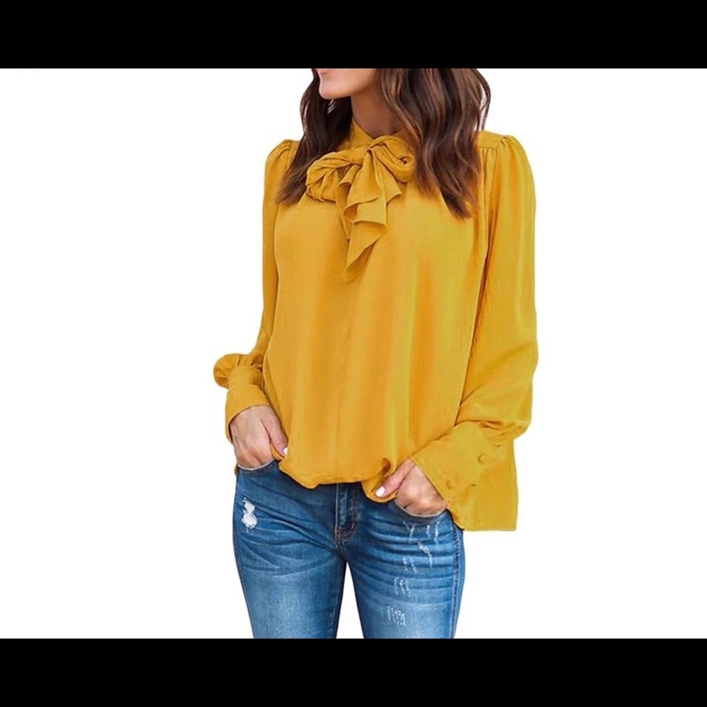 Chiffon blouse